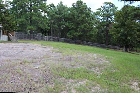 Park drive through East Texas pines