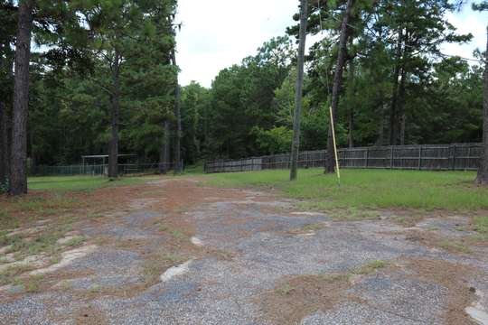 Park drive through East Texas pines