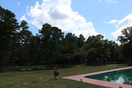 In-ground pool with blue water and pink deck under the pines